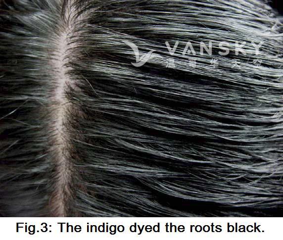 250102134111_Hair-Dyed with indigo.jpg